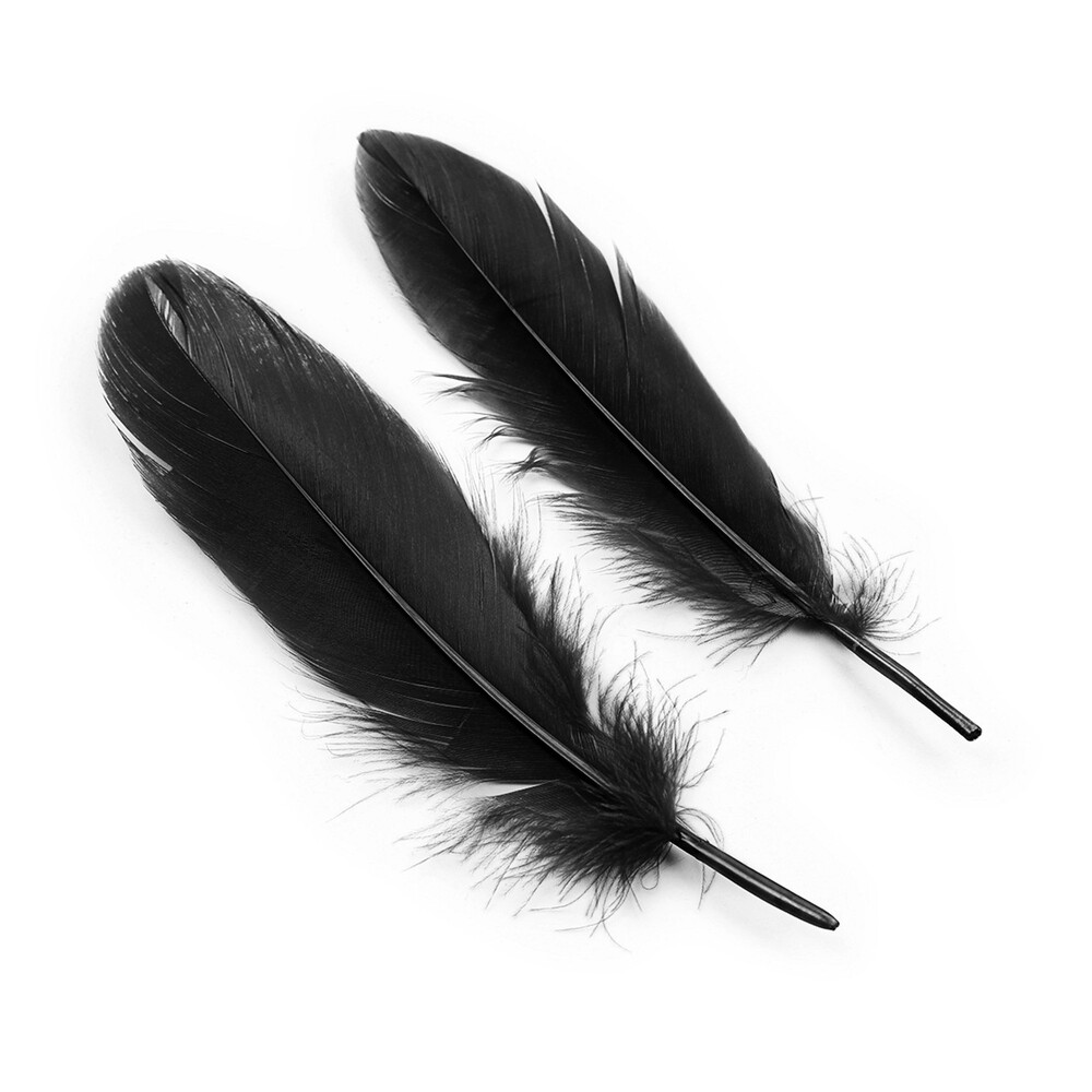Lovers Dream Kit Bondage — piume accessorie del kit